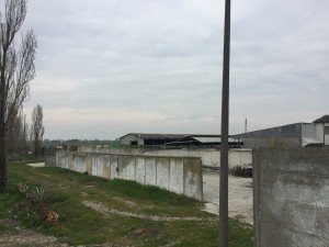 presidio vs all di Visoni a Villadose (RO) (21)