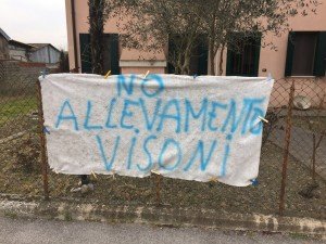 presidio vs all di Visoni a Villadose (RO) (22)