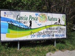 presiddio vs la fiera caccia Longarone (1)