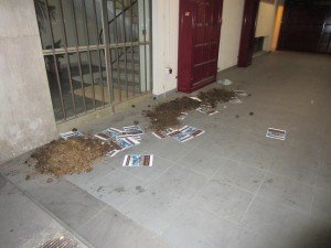 Ferrara blitz vs il palio dei Cavalli (2)