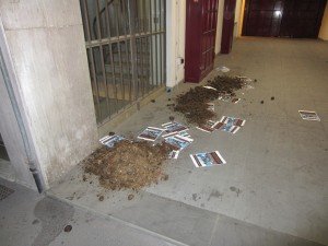 Ferrara blitz vs il palio dei Cavalli (4)