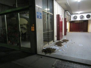 Ferrara blitz vs il palio dei Cavalli (5)