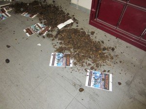 Ferrara blitz vs il palio dei Cavalli (6)