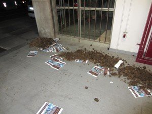 Ferrara blitz vs il palio dei Cavalli (8)