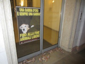 Municipio Cittadella (3)