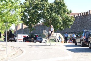palio di Montagnana (12)