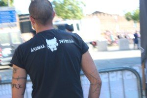 palio di Montagnana (24)