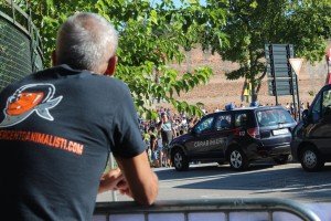 palio di Montagnana (25)