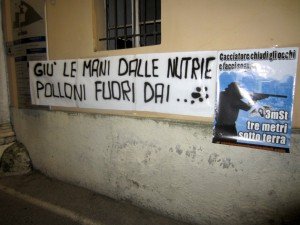 Polloni Desenzano del Garda (1)