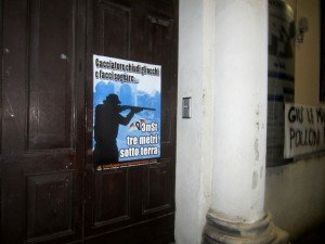 Polloni Desenzano del Garda (3)