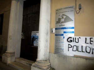 Polloni Desenzano del Garda (4)