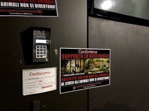 Conforama Milano (1)