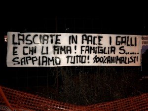 Galli Piove di sacco (2)