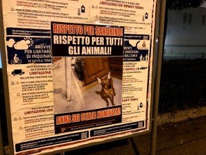 Via Col Galliano, 12 Padova (5)