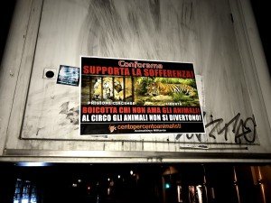 blitz vs Conforama (1)