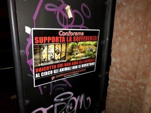 blitz vs Conforama (10)