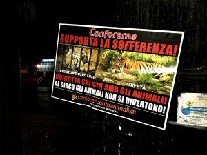 blitz vs Conforama (11)