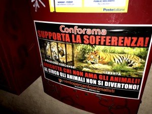 blitz vs Conforama (13)