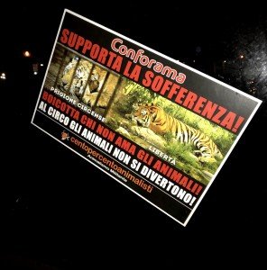 blitz vs Conforama (15)