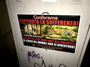 blitz vs Conforama (16)