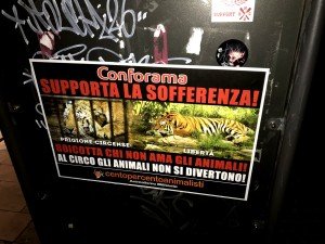 blitz vs Conforama (17)