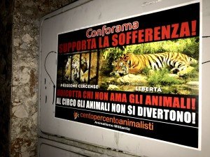 blitz vs Conforama (5)