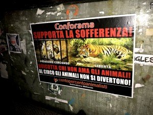 blitz vs Conforama (6)