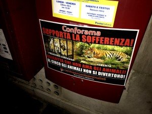 blitz vs Conforama (7)