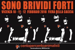 loca adesiva 48x32 20pz