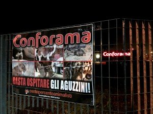 Conforama Mestrino (3)