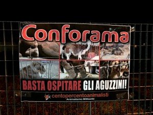 Conforama Mestrino (6)