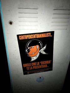 macellaio Roncade (4)