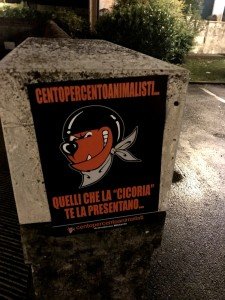 macellaio Roncade (9)