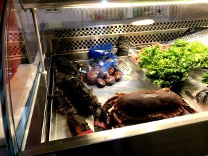 ristorante Garden Origgio (5)